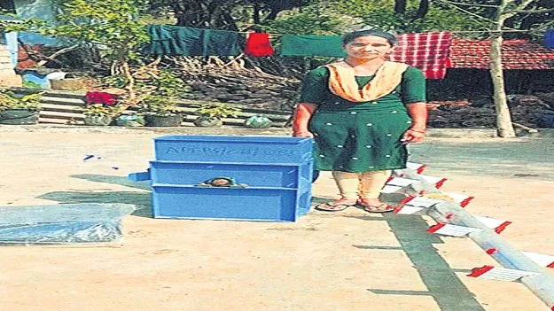 సర్కారు ప్రోత్సాహం.. కాఫీ రైతులకు వరం