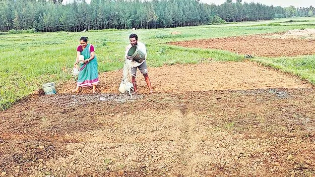 నారు పోసినా నీరు లేక..
