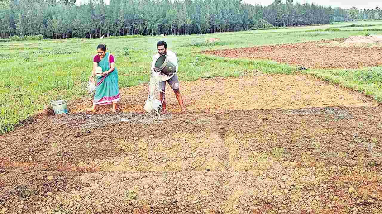 నారు పోసినా నీరు లేక..
