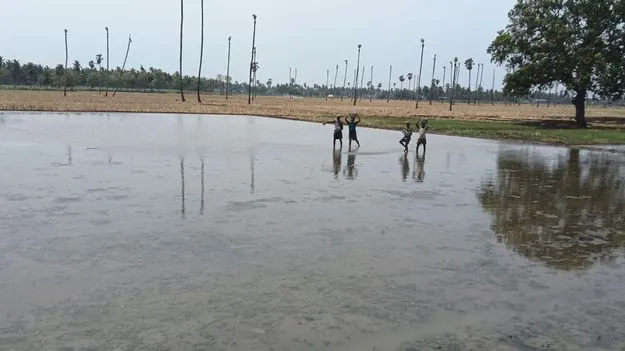 సార్వాకు సమాయత్తం