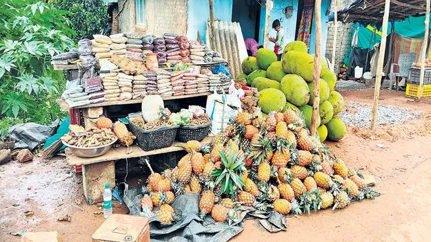 ఊపందుకున్న అనాస, పనస విక్రయాలు