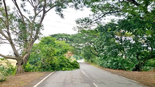 గాలివాన బీభత్సం 