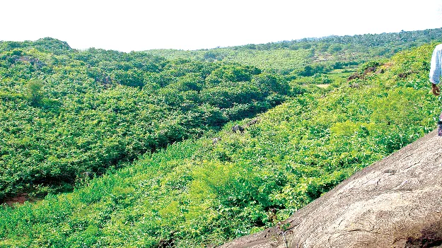 జంతిబందకు మోక్షమెప్పుడో?