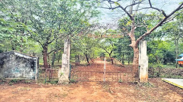 నగర వనాలకు నిర్లక్ష్యపు చీడ!