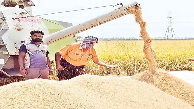 పీఆర్‌–126 పంచాయితీ!