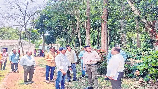 అరకు కాఫీ అభివృద్ధికి ప్రత్యేక ప్రణాళిక