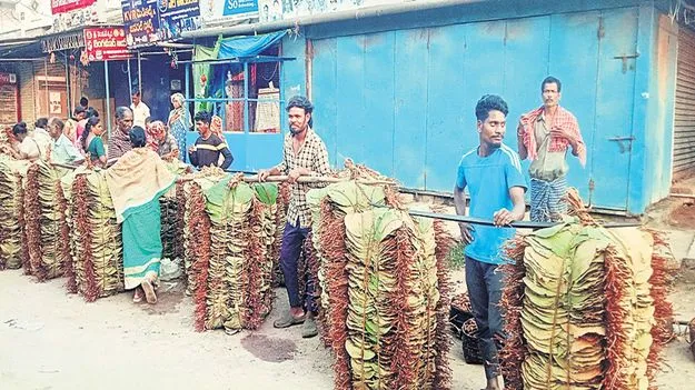 అటవీ ఉత్పత్తుల ధరలు పతనం