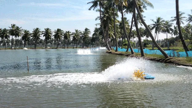 ఆక్వా జోష్‌