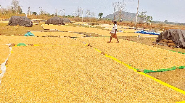 రైతులకు పెట్టుబడి.. దళారులకు లాభం