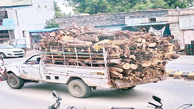 అడ్డంగా నరికేస్తున్నారు