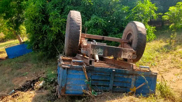  ఒంటరి ఏనుగు వీరంగం 