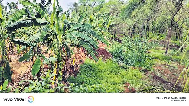 నూకయ్యబంద చెరువు ఆక్రమణపై చర్యలు