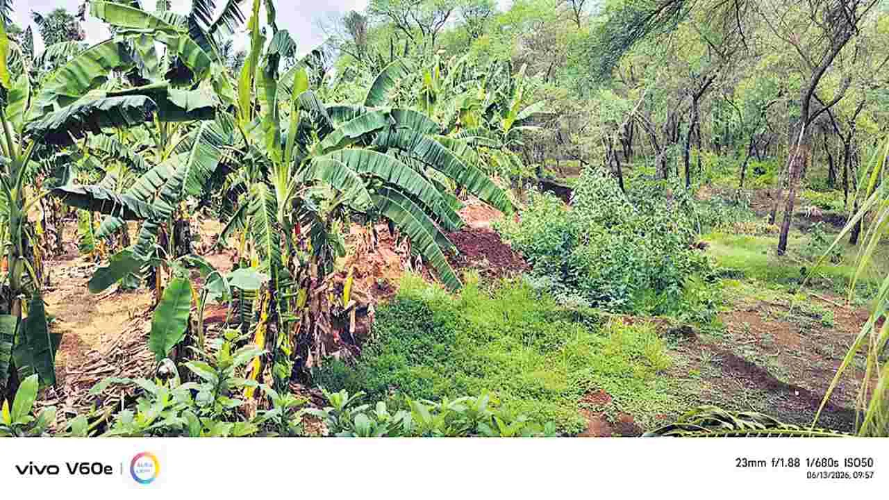 నూకయ్యబంద చెరువు ఆక్రమణపై చర్యలు