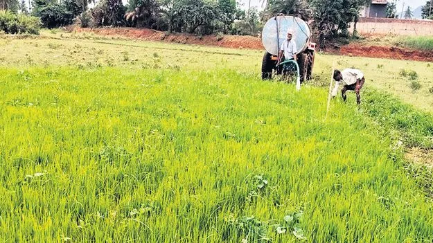 వరి రైతుల తిప్పలు