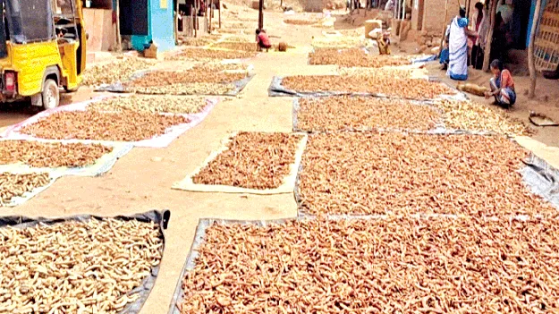 ధర ఉన్నా.. తీరని చింత