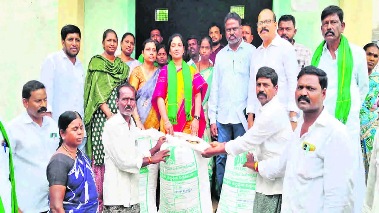 రైతుల అవసరం మేరకు విత్తనకాయలు అందిస్తాం