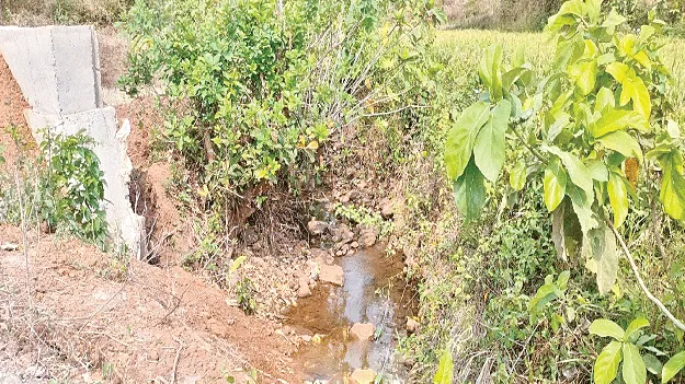       జలవనరులకు జవసత్వాలు 