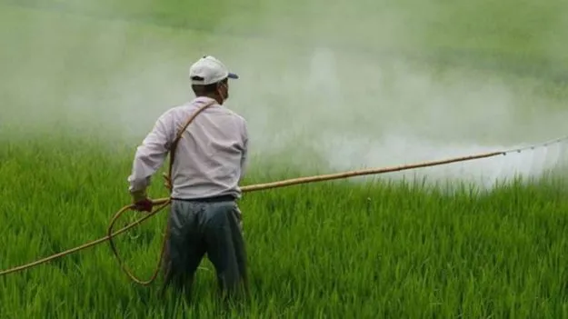 ఎరువులపై సబ్సిడీ రూ.41,534 కోట్లకు పెంపు