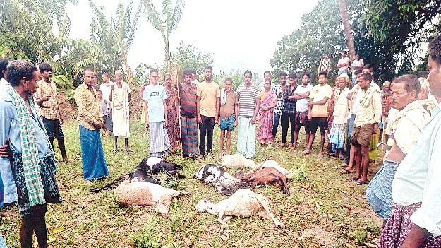 నగిరికటకంలో పిడుగుపాటు