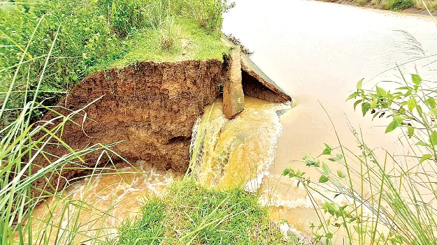 వంశధార కాలువకు గండి
