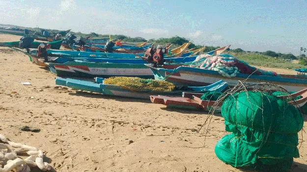 వేటకు విరామం