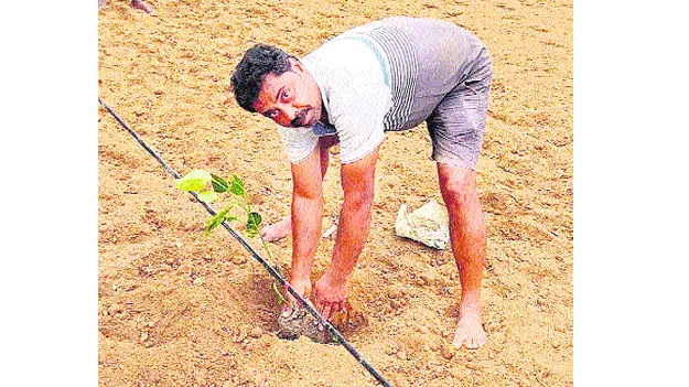 వినూత్న ‘ఉద్యాన’ ప్రయోగ వేదిక