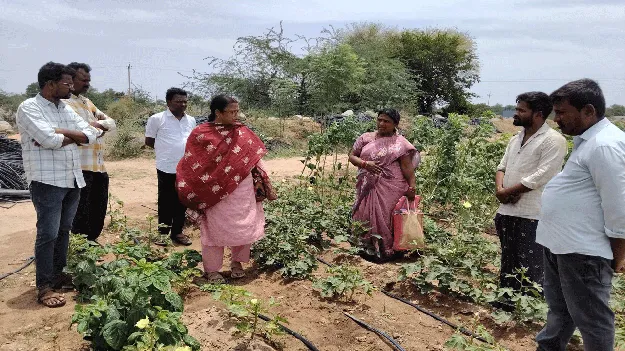 ప్రకృతి వ్యవసాయం లాభదాయకం 