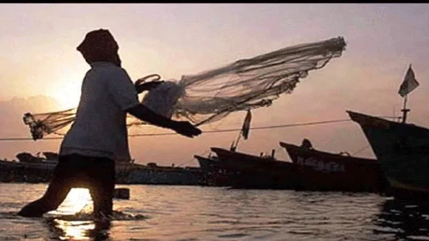 వేటకు వేళాయె