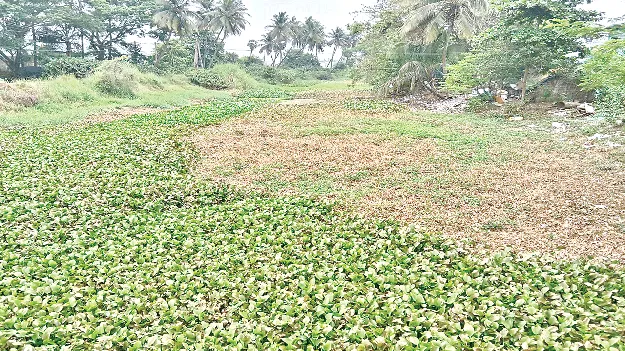 ముందుకు కదలని నీరు 