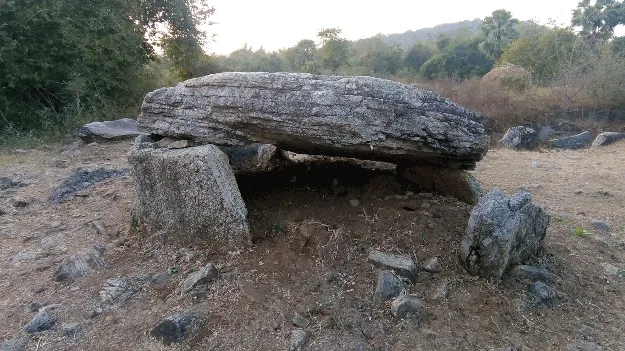 ముంపులో మన ‘మూలాలు’