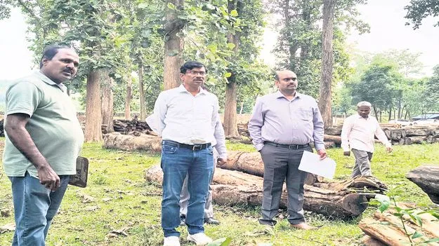 ఎకో టూరిజం అభివృద్ధికి కార్యాచరణ