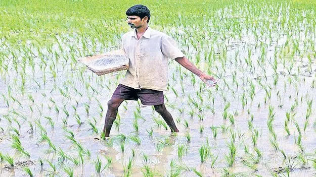 ఎరువు దరువు