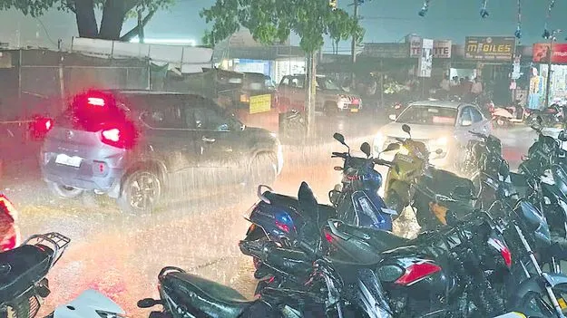మన్యంలో భారీ వర్షం 