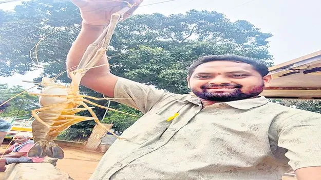 సీలేరు జలాశయంలో టైగర్‌ రొయ్య లభ్యం
