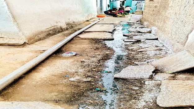 డెంగీ పంజా