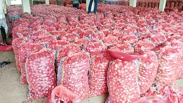 పెరిగిన ఉల్లి