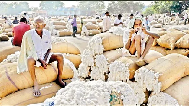 పత్తి రైతులకు శుభవార్త 