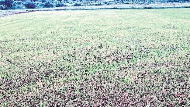  ఖరీఫ్‌ సాగు ప్రశ్నార్థకం