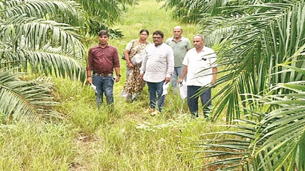 నిర్వహణలో లోపాలు ఉంటే చర్యలు