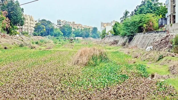 ఇదేం తీరు!