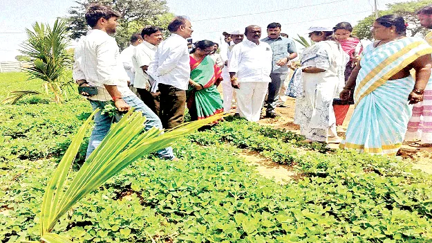 ప్రకృతి వ్యవసాయం వైపు మొగ్గు చూపాలి