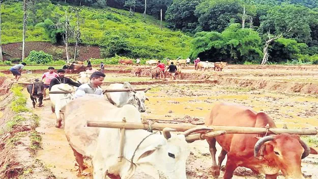 వ్యవసాయ పనుల్లో ఐక్యత 