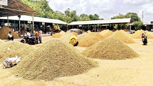 వేరుశనగ క్వింటం రూ. 8,500