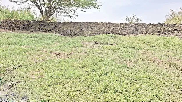  ఏం చేస్తున్నారు..?