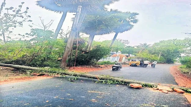 కుమ్మేసిన వాన