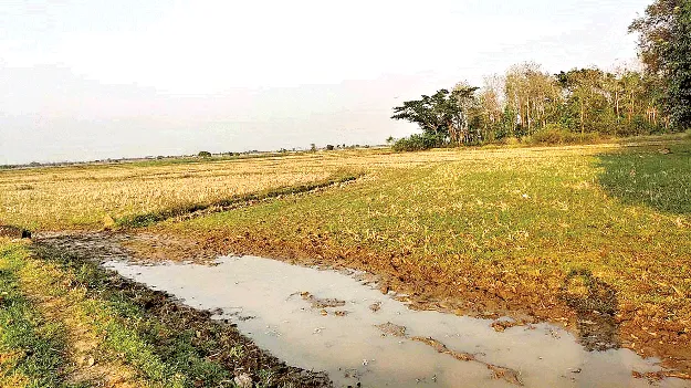 Will  do re-survey later? తర్వాతైనా   రీ సర్వే చేస్తారా?