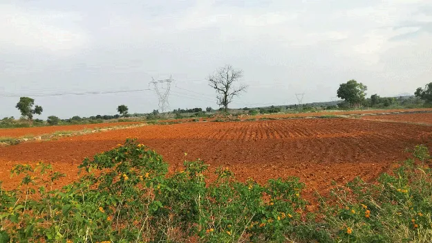  కరుణించని నైరుతి రుతు పవనాలు