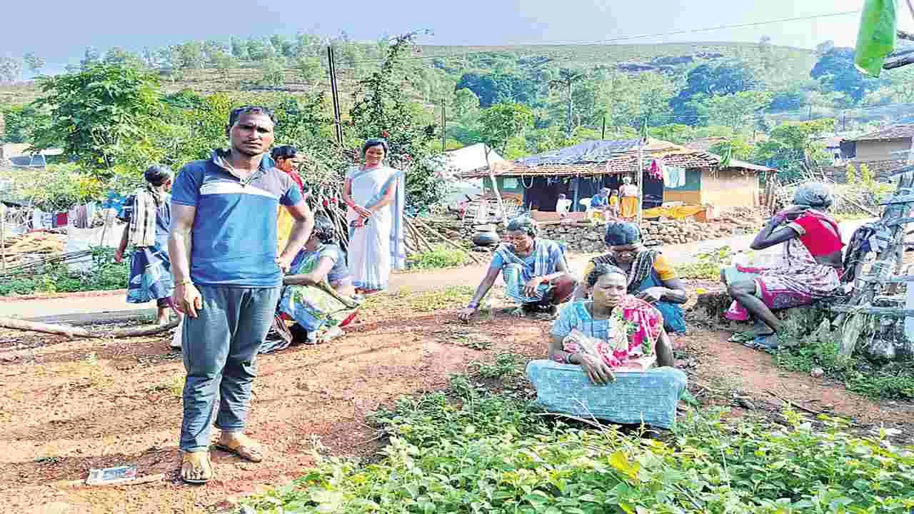 గర్భిణికి తిప్పలు