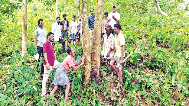 గిరిజన అభివృద్ధే లక్ష్యంగా..