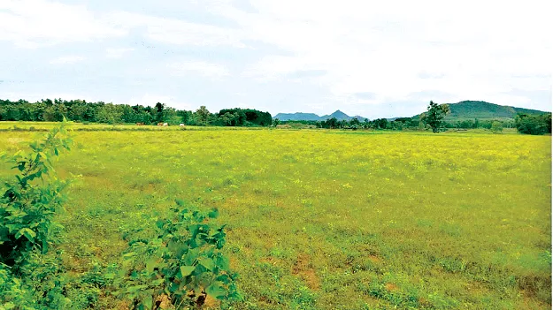 శివారు భూములకు సాగునీరు అందట్లే!